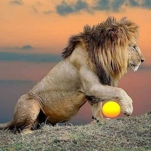 Meet your Posher, Lupe